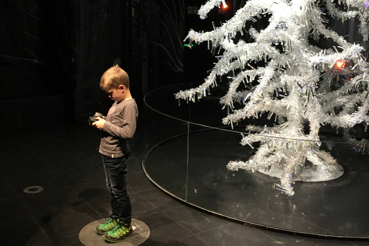 Hochkonzentriert widmet sich Jonathan der Kamera, bevor er den funkelnden Weihnachtsbaum in der Wunderkammer 