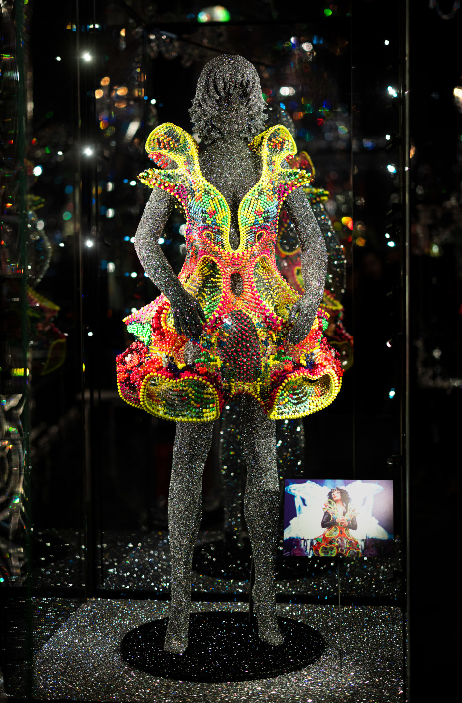Foraeva Dress von Björk